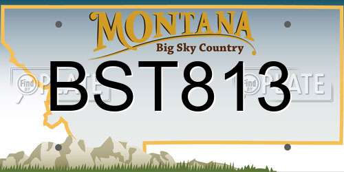 BST813 Montana License Plate