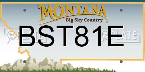 BST81E Montana License Plate
