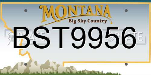 BST9956 Montana License Plate