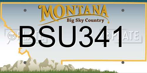 BSU341 Montana License Plate