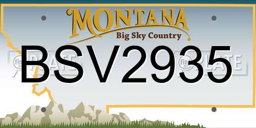 BSV2935 Montana License Plate