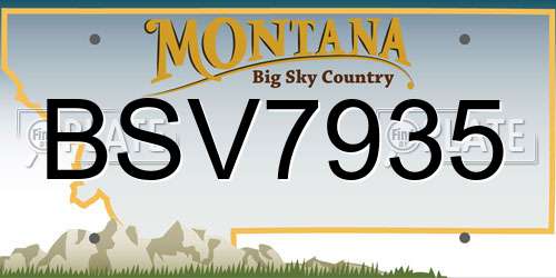BSV7935 Montana License Plate