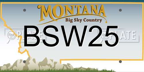 BSW25 Montana License Plate