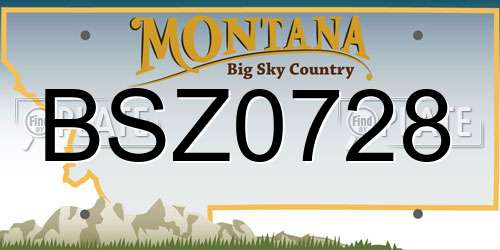 BSZ0728 Montana License Plate
