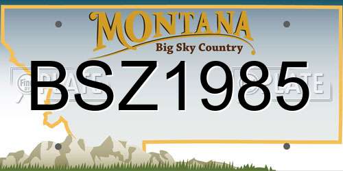BSZ1985 Montana License Plate