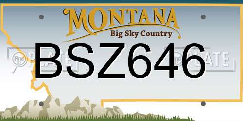 BSZ646 Montana License Plate