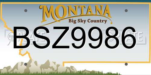 BSZ9986 Montana License Plate