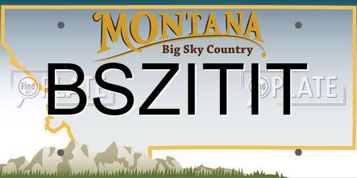 BSZITIT Montana License Plate