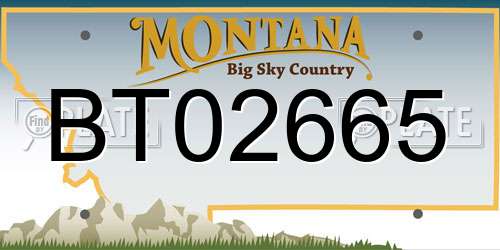 BT02665 Montana License Plate