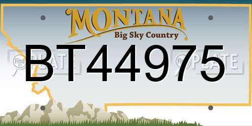 BT44975 Montana License Plate