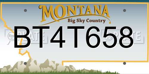 BT4T658 Montana License Plate