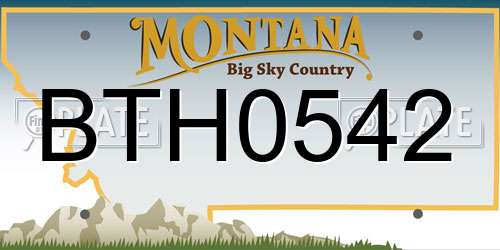 BTH0542 Montana License Plate
