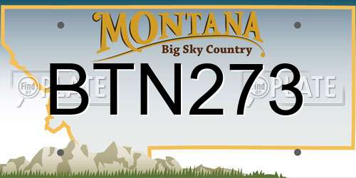 BTN273 Montana License Plate