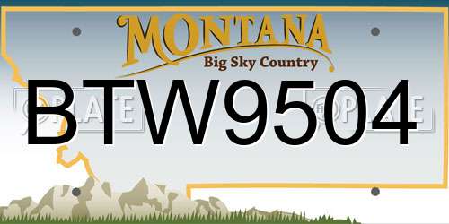 BTW9504 Montana License Plate