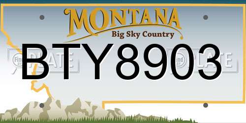 BTY8903 Montana License Plate