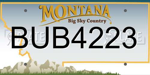 BUB4223 Montana License Plate
