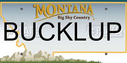 BUCKLUP Montana License Plate