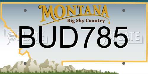 BUD785 Montana License Plate