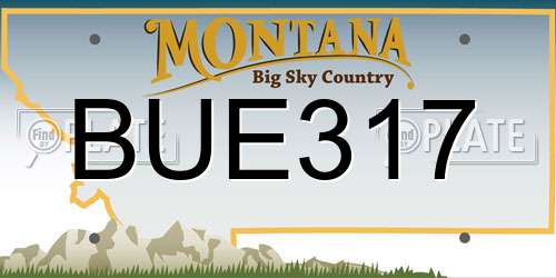 BUE317 Montana License Plate