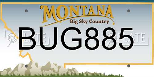 BUG885 Montana License Plate