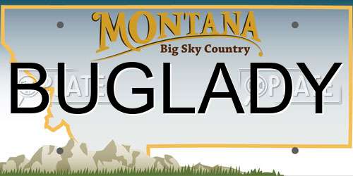 BUGLADY Montana License Plate