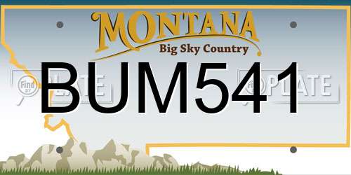 BUM541 Montana License Plate