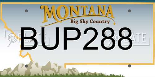 BUP288 Montana License Plate