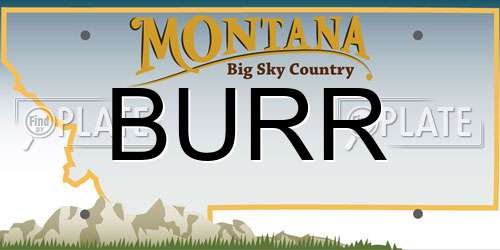 BURR Montana License Plate