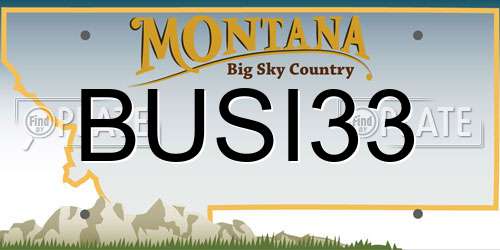 BUSI33 Montana License Plate