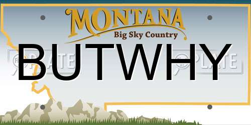 BUTWHY Montana License Plate