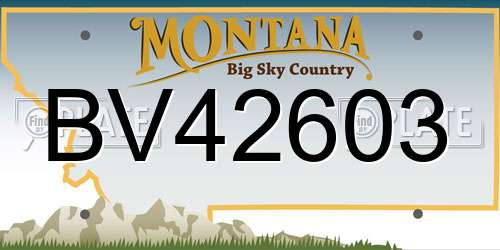 BV42603 Montana License Plate