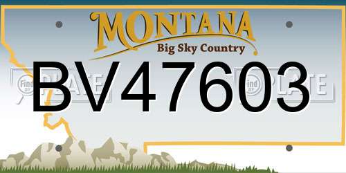 BV47603 Montana License Plate