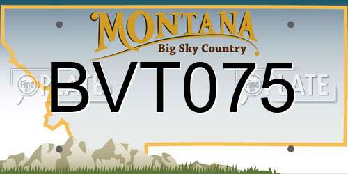 BVT075 Montana License Plate