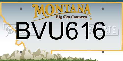 BVU616 Montana License Plate