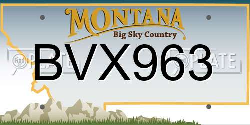 BVX963 Montana License Plate
