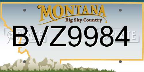 BVZ9984 Montana License Plate