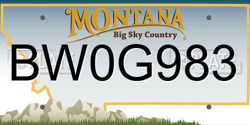 BW0G983 Montana License Plate