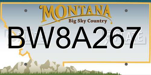 BW8A267 Montana License Plate