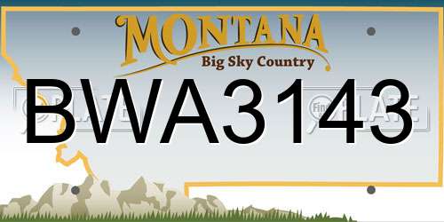 BWA3143 Montana License Plate