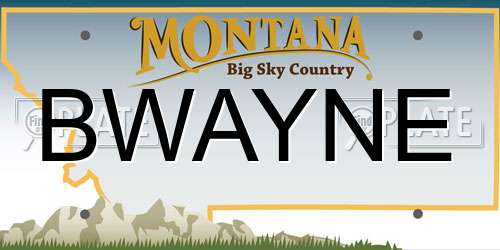 BWAYNE Montana License Plate