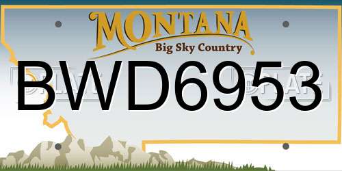 BWD6953 Montana License Plate