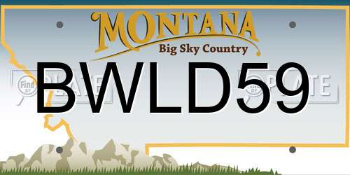 BWLD59 Montana License Plate