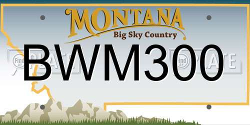 BWM300 Montana License Plate
