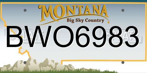 BWO6983 Montana License Plate