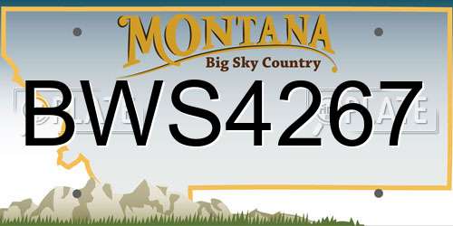 BWS4267 Montana License Plate
