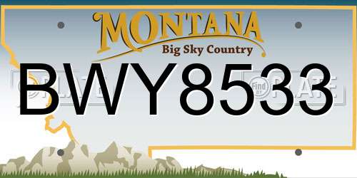 BWY8533 Montana License Plate