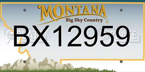 BX12959 Montana License Plate