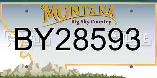 BY28593 Montana License Plate