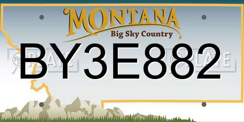 BY3E882 Montana License Plate