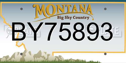 BY75893 Montana License Plate